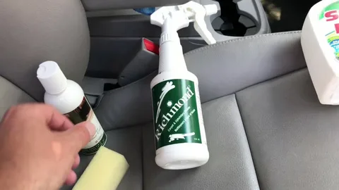 Luxury Car Interior Leather Detailing in Upper St Clair