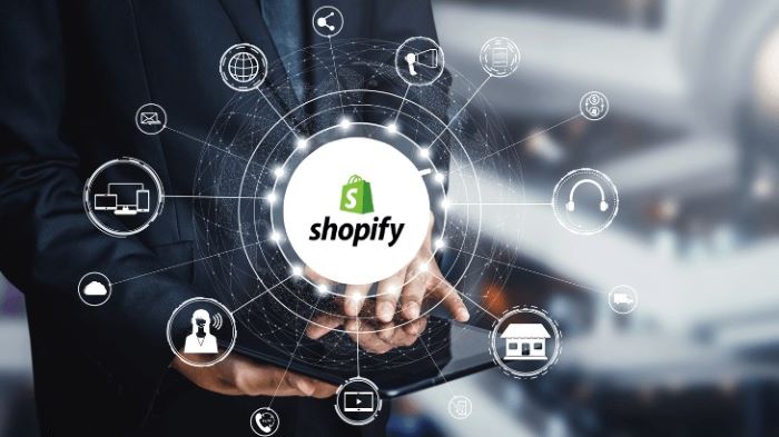 Hire Best Shopify Development Expert In Jaipur