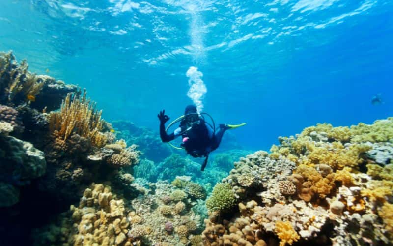 Best Diving Spots in Indonesia