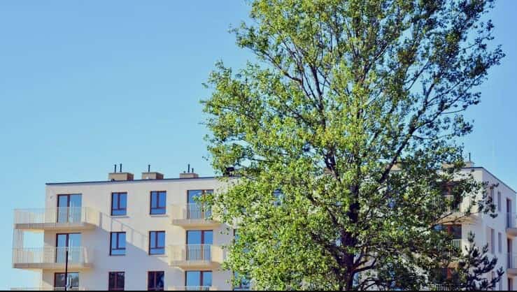Sattva City: For Those Who Dream Beyond Walls?