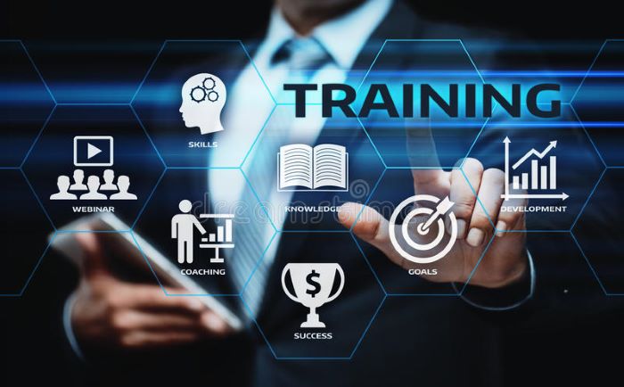 Best Training And Placement Institute In Rajasthan