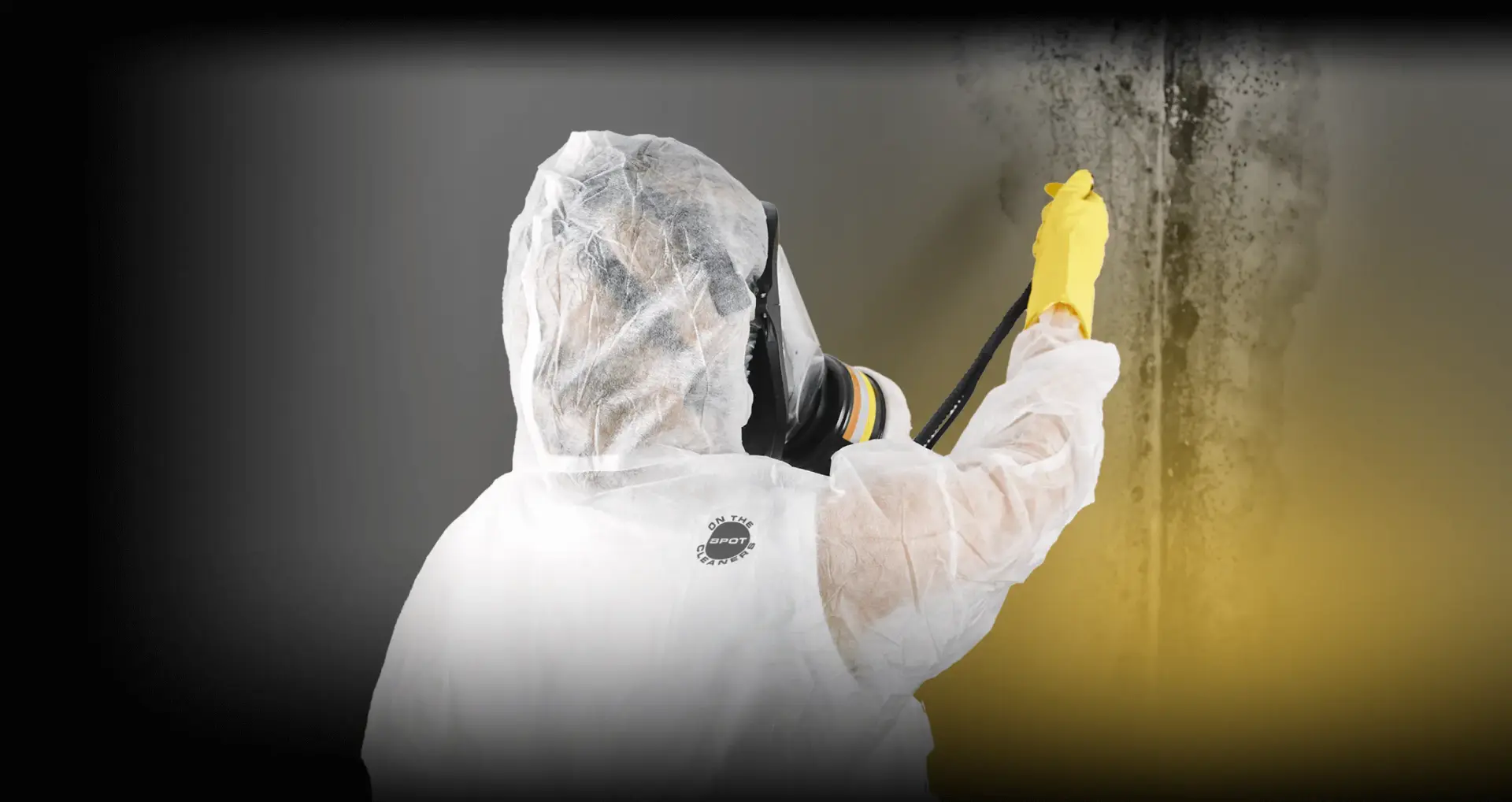 Strange Odors, Allergies & Stains at Home