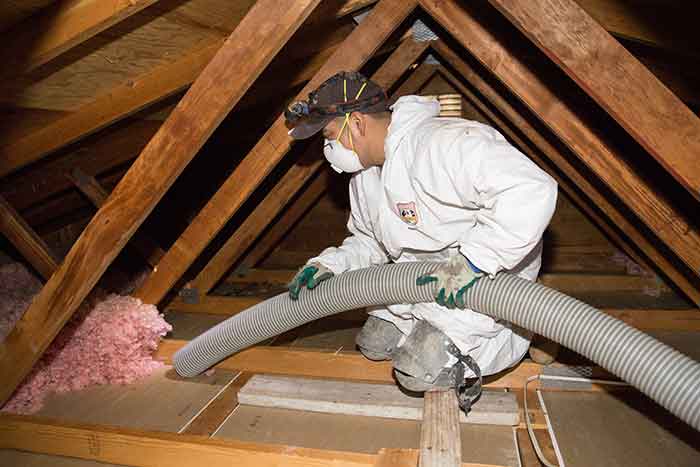 Risks of Damaged Insulation and How Removal Helps