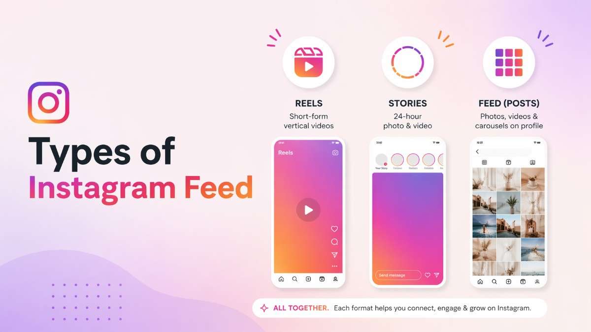 Types of Instagram Feeds You Can Embed