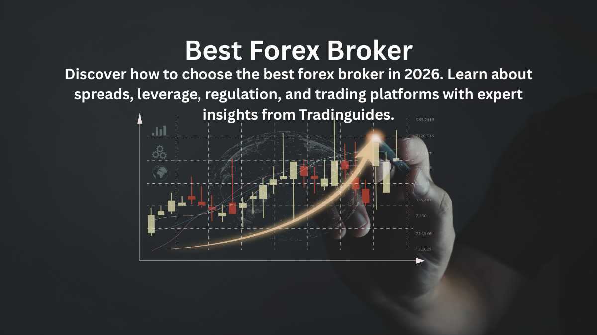 The Ultimate Guide to Forex Trading & Broker Selection