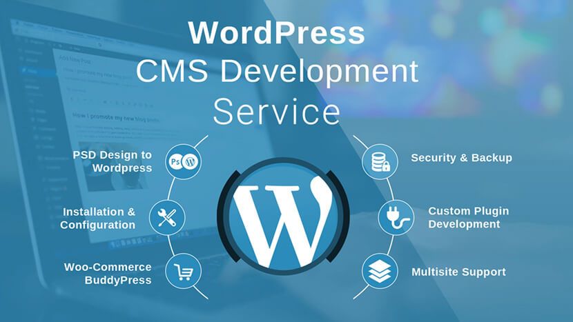Best WordPress Development Expert In Jaipur