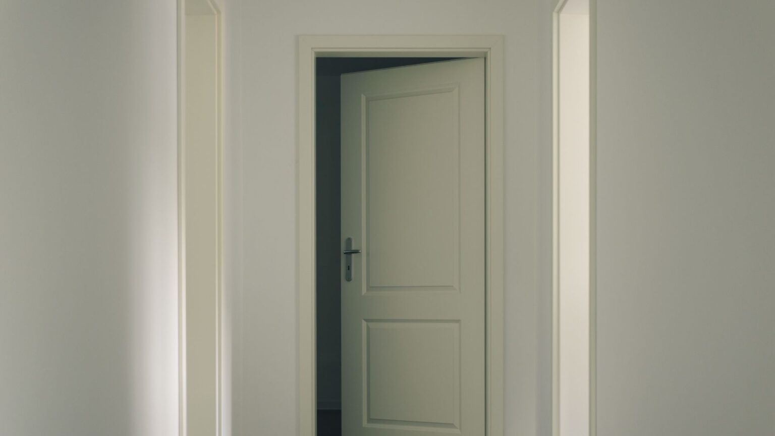Premium Panel Doors for Elegant Modern Interiors