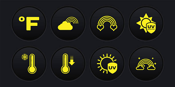 Durable, Weather-Resistant & Stylish Options