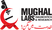 Mughal Labs