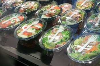 Packaged Salad Market Size and Forecast 2025-2033