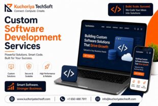 custom software development