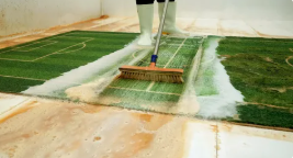 Green Carpet Cleaning