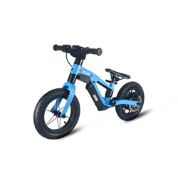 Ultimate Kids Electric Bike for First-Time Riders