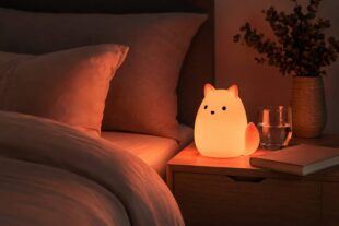 adults night light
