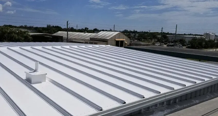 What Are the Best Roof Protection Methods
