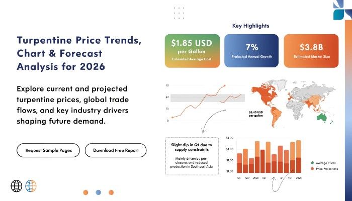 Turpentine Price Trend 2026, Chart & Forecast Analysis