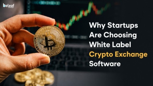 Why Startups Are Choosing White Label Crypto Exchange