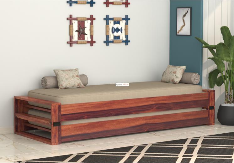Comfortable Sofa Cum Bed for Guests and Everyday