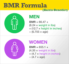 Calculate BMR for Intermittent Fasting Weight Loss