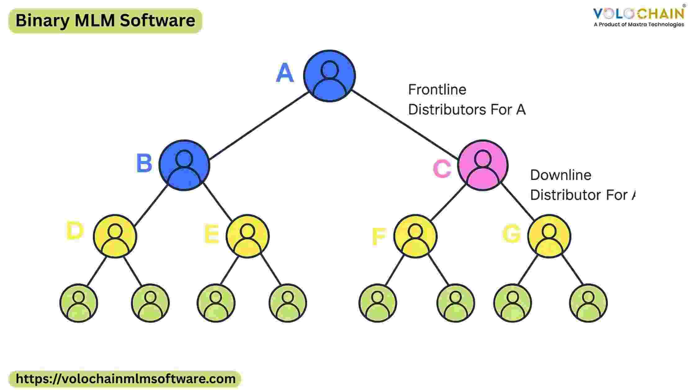 Advanced Binary MLM Software for Network Growth