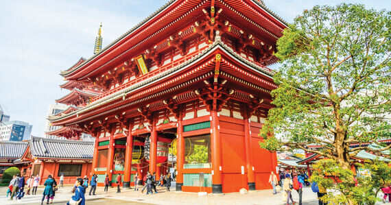 Japan Tour From Australia: Best Seasons, Routes