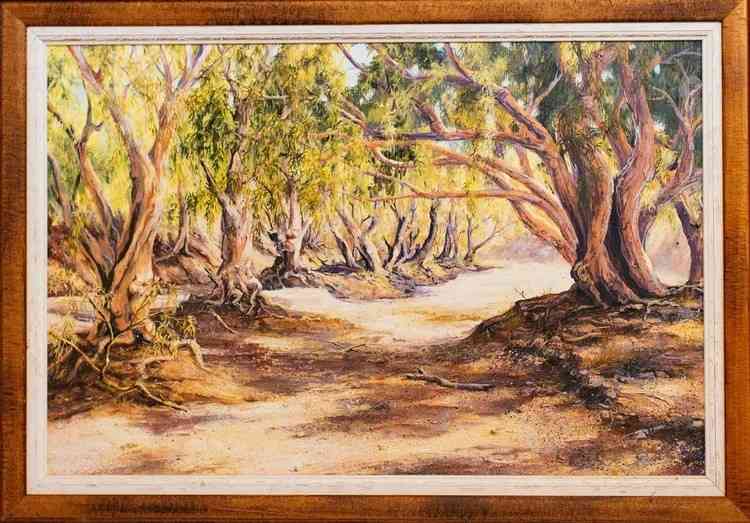 Australian Landscapes Art with Outback Views