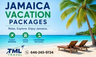 Tml travel