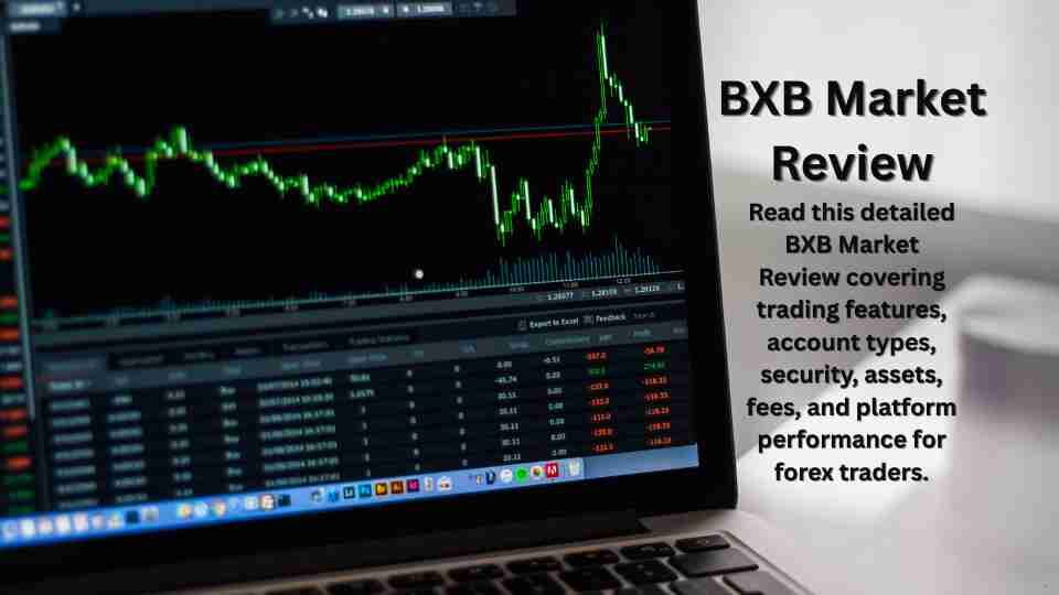 BXB Market Review Complete Broker Analysis for Traders