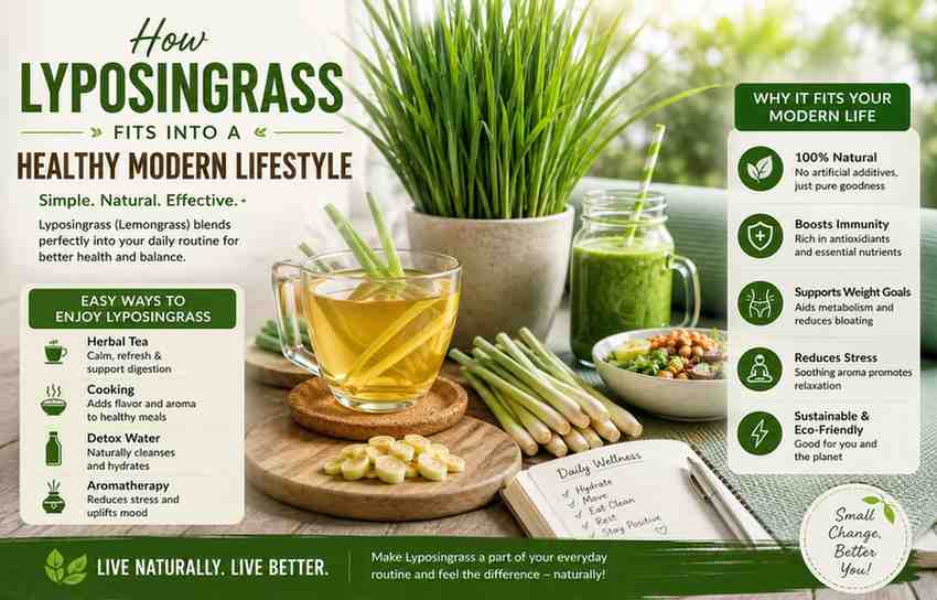 How Lyposingrass Fits Into a Healthy Modern Lifestyle