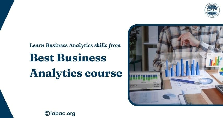 Skills Best Business Analytics Course Teach You?