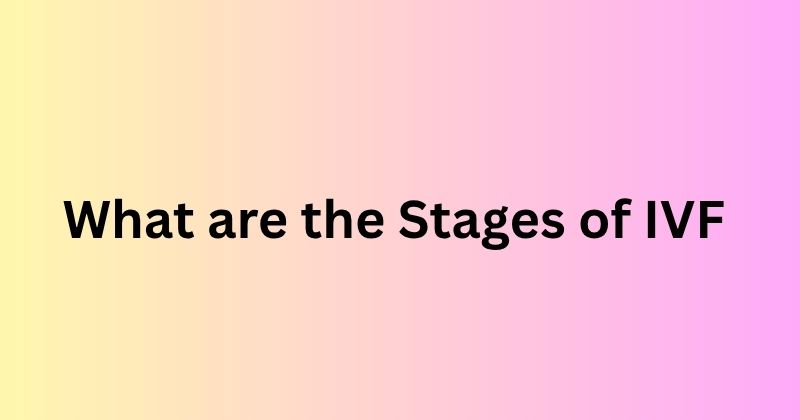 What are the Stages of IVF