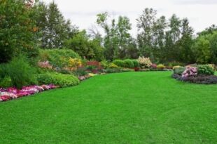 Outdoor Designs Built for Florida Living