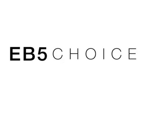 EB-5 Visa Consultants