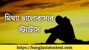 মিথ্যা ভালোবাসা স্ট্যাটাস