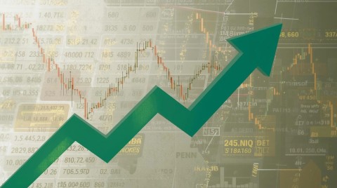New Investor Should Check in Stock Market Today