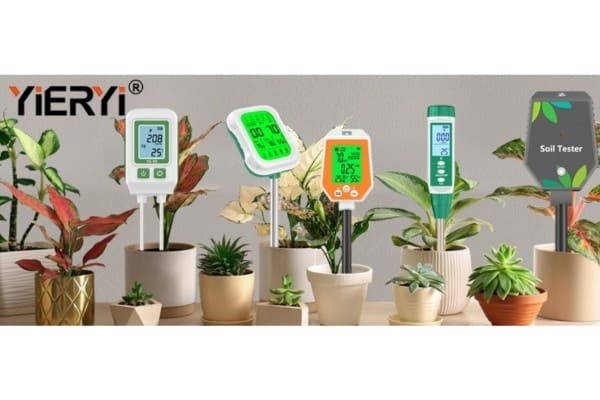 Are Soft Succulent Leaves a Sign of Overwatering?