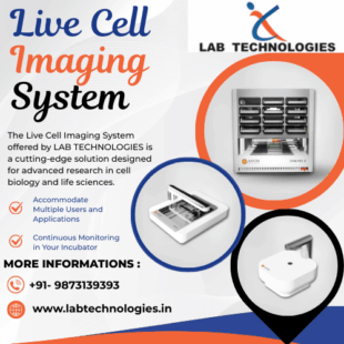 Live cell imaging system