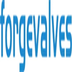 China Topper Forged Valve Manufacturer