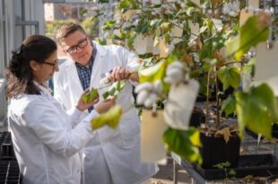 Staying Informed with Life Science News