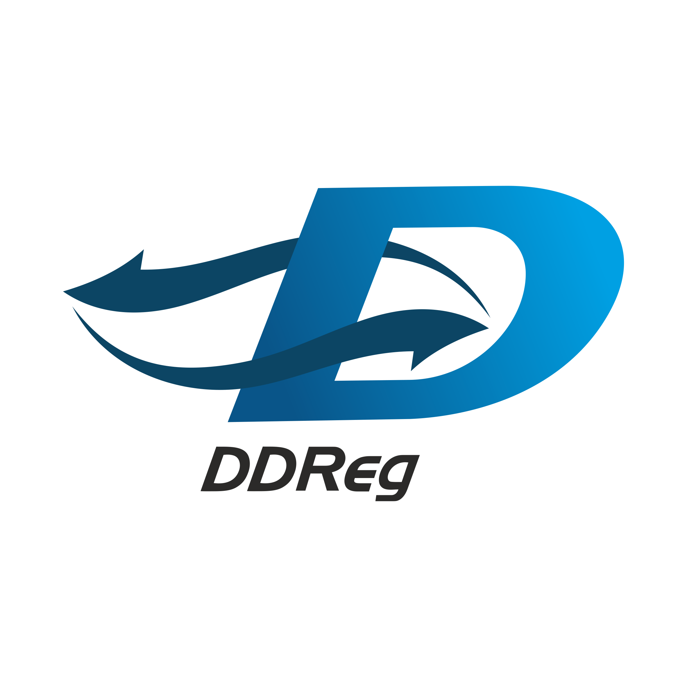 DDReg Pharma Inc