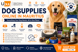 Online pet supplies for your dog optimized 100