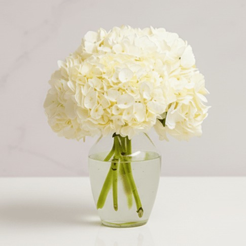 Same-Day Flower Delivery in Toronto: Why Speed Matter