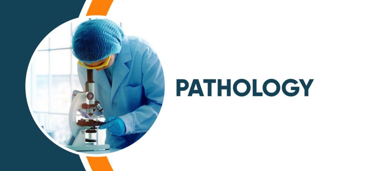 Online Blood Test Referral: A Guide for Patients