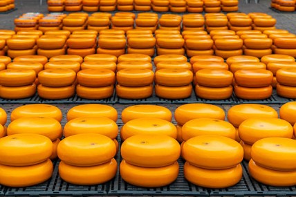 Why Cheese Is Driving Global Food Innovation