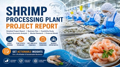 Shrimp Processing Plant Setup Guide Report 2026: Cost