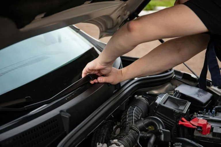 Professional Vehicle Maintenance Benefits