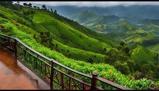 Premium Stays and Memorable Travel Experiences