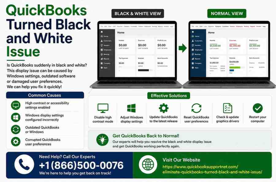 QuickBooks Screen Suddenly Turned Black and White? Fix