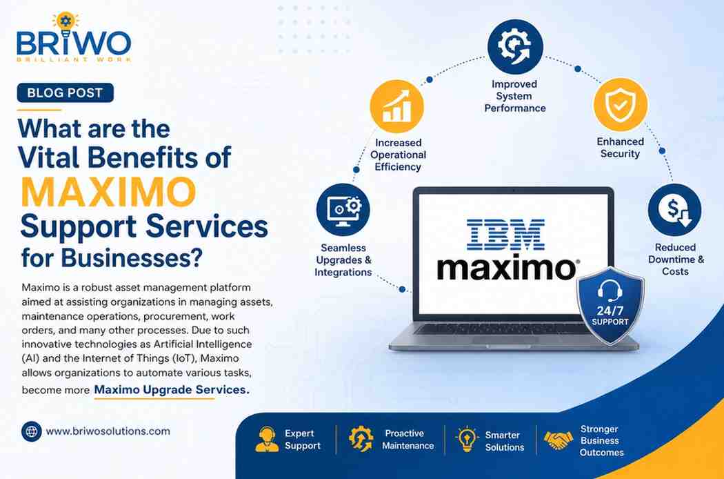 Maximo Support Services