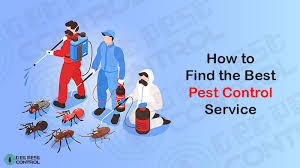 Best Pest Control Services in Albany, NY